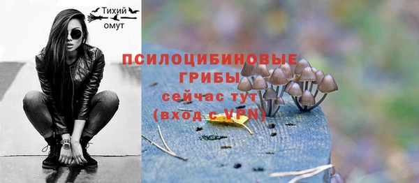 apvp Медногорск