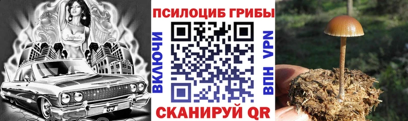 Псилоцибиновые грибы Psilocybine cubensis  закладки  Вилюйск 